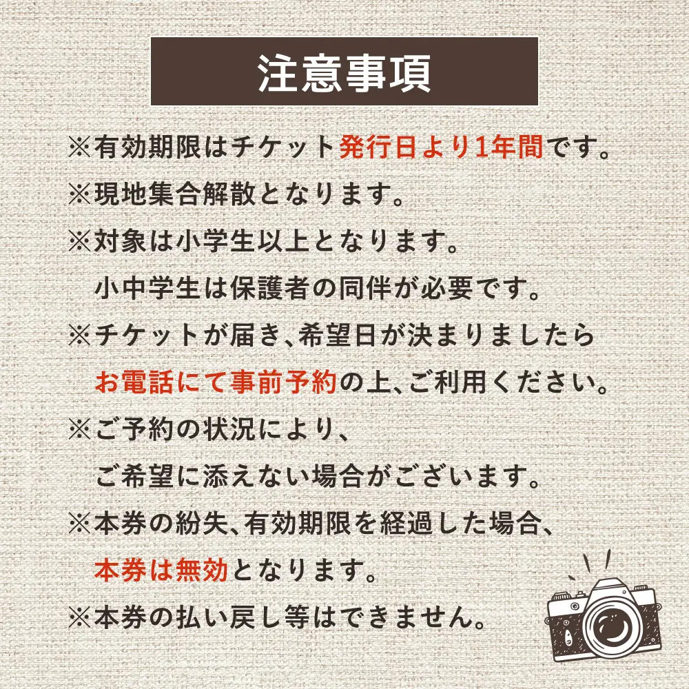 まちなか散策フォトツアー体験チケット(2人分)【3201301】