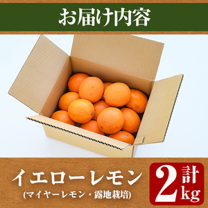 ＜先行予約受付中！2026年12月中旬以降順次発送予定＞ 数量限定！露地マイヤーイエローレモン (2kg) 国産 果実 果物 レモン イエローレモン フルーツ 檸檬 柑橘 デザート 期間限定 アレンジ ドリンク ゼリー デザート 【桐野柑橘株式会社】akn070-10