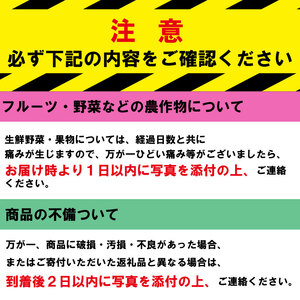 【 ぶどう 】 ぶどう 詰合わせ 2.4kg 2026年8月発送