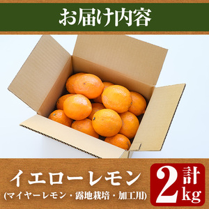 ＜先行予約受付中！2027年1月中旬以降順次発送予定＞数量限定！加工用・露地マイヤーイエローレモン(2kg) 国産 果実 果物 レモン イエローレモン フルーツ 檸檬 柑橘 デザート 期間限定【桐野柑橘株式会社】akn070-02
