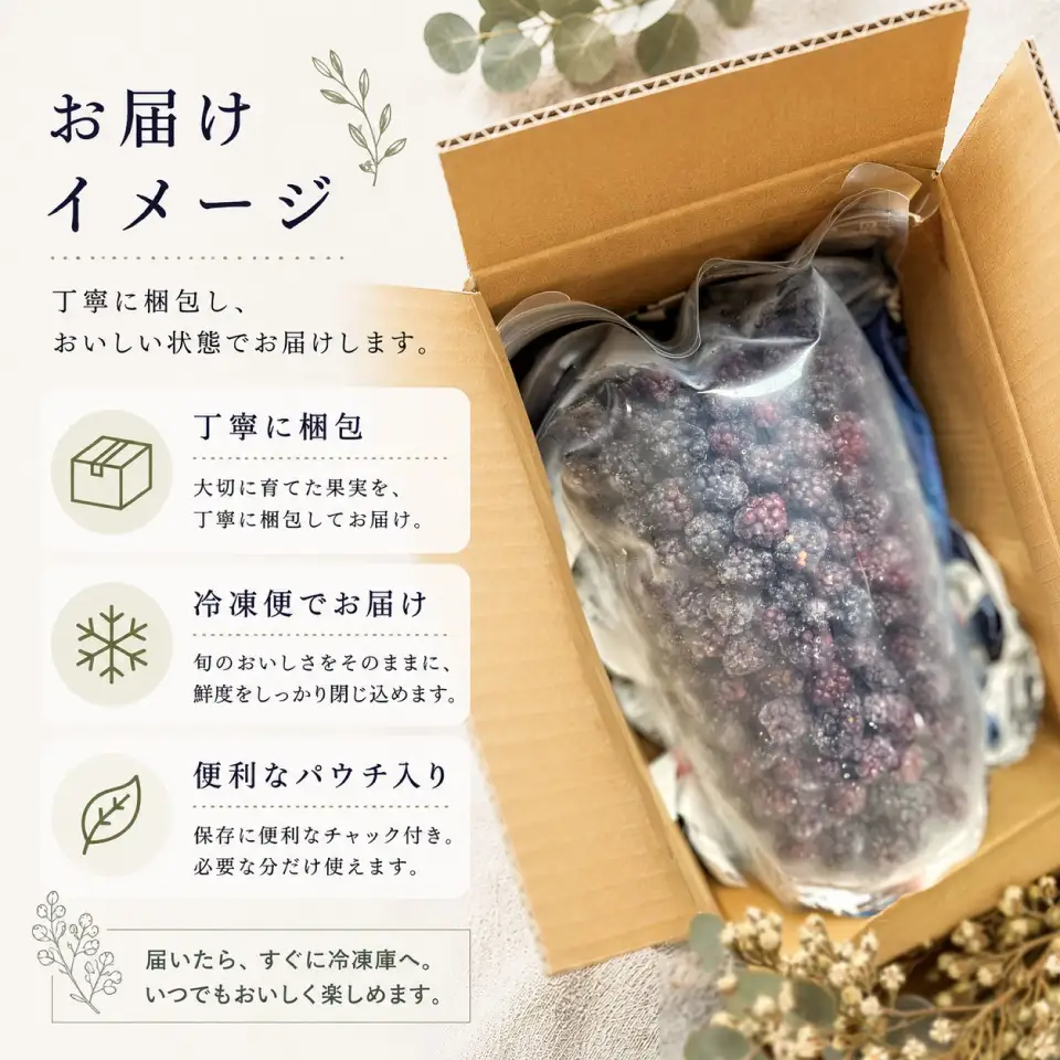 【ふるさと納税】＜【加工用・訳あり】冷凍ブラックベリー約1.5kg＞ふるーつ fruit ヒロの果樹園からMIYAMOTOFARM が受け継ぎました 冷凍フルーツ フローズン スムージー チャック付き袋入り 家庭用 高知県 佐川町 （栽培期間中 化学農薬化学肥料不使用）