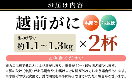 【先行予約】越前がに 特大 (茹で前1.1～1.3kg) × 2杯 【2027年2月上旬以降順次発送予定】越前がに [m17-x004_02] 