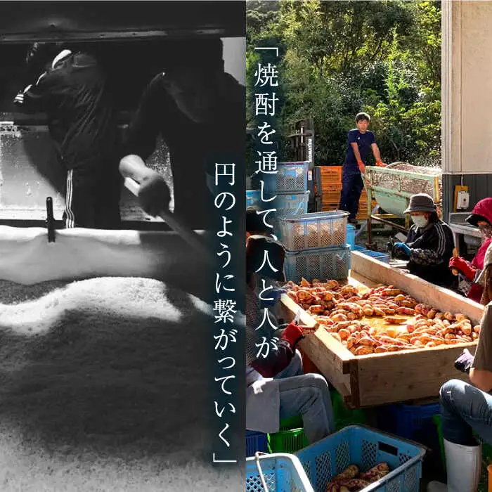【全6回定期便】五島灘黒麹・明治之芋五島灘2本セット 各720ml×1本[RAW022] 焼酎 芋焼酎 定期便 焼酎 芋焼酎 定期便 焼酎 芋焼酎 定期便 焼酎 芋焼酎 定期便九州 長崎