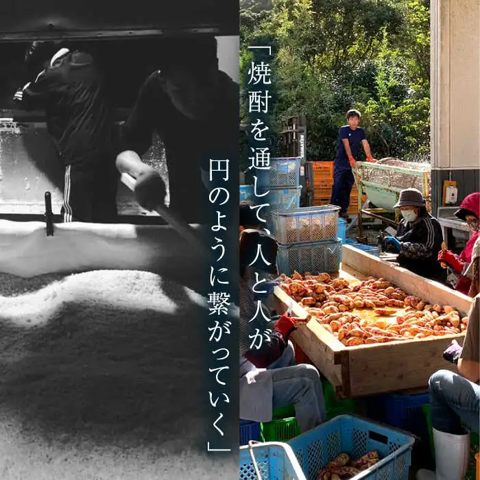 【全6回定期便】越鳥南枝2本セット 各720ml×1本[RAW028] 焼酎 芋焼酎 定期便 焼酎 芋焼酎 定期便 焼酎 芋焼酎 定期便 焼酎 芋焼酎 定期便 焼酎 芋焼酎 定期便九州 長崎