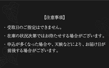 【全3回定期便】明治之芋 五島灘 1800ml×1本[RAW042] 焼酎 芋焼酎 定期便 焼酎 芋焼酎 定期便 焼酎 芋焼酎 定期便 焼酎 芋焼酎 定期便 焼酎 芋焼酎 定期便九州 長崎