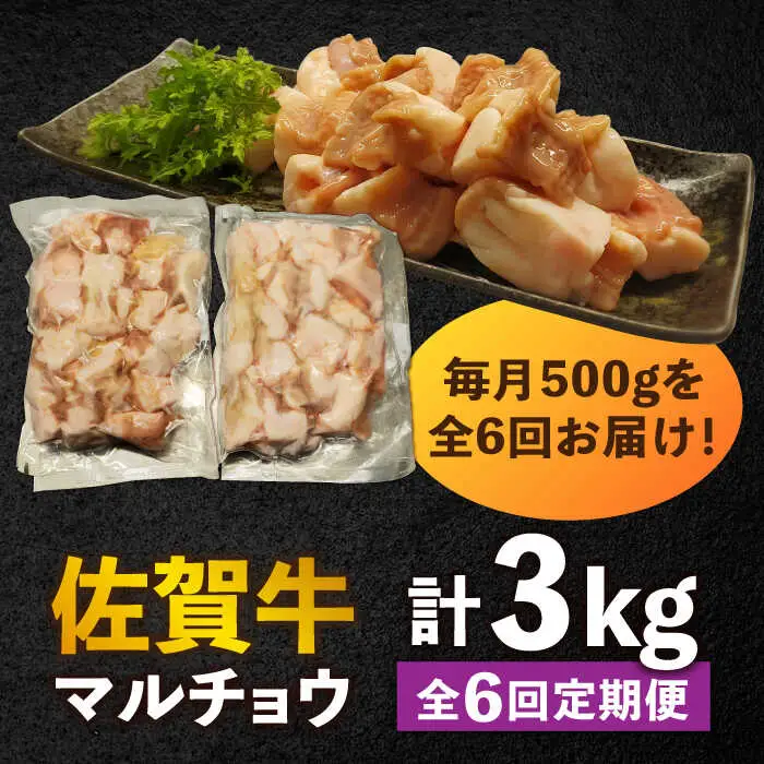 【全6回定期便】 【脂が甘くてぷりっぷり！】佐賀牛ホルモン 焼肉用 小腸 計3kg（250g/袋）味付けなし 吉野ヶ里町/やきとり紋次郎[FCJ092]
