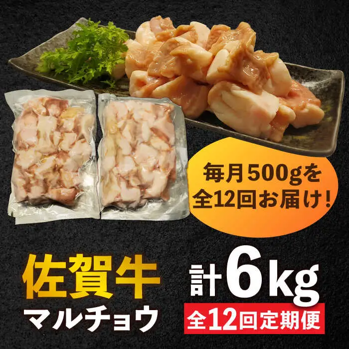 【全12回定期便】 【脂が甘くてぷりっぷり！】佐賀牛ホルモン 焼肉用 小腸 計6kg（250g/袋）味付けなし 吉野ヶ里町/やきとり紋次郎[FCJ093]