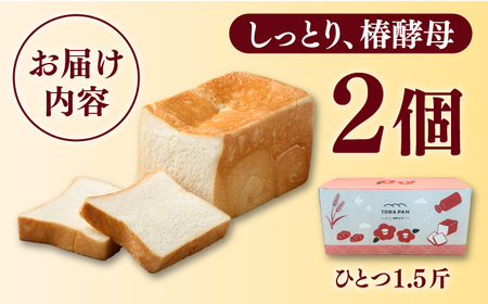TORAPAN（トラパン）しっとり、椿酵母食パン2個セット[RBA069] 食パン パン 食パン パン 食パン パン 食パン パン 食パン パン 食パン パン 食パン パン 食パン パン九州 長崎 