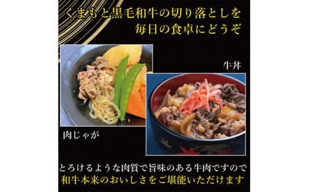 FK7-0010_ 【A4～A5】 くまもと黒毛和牛切り落とし 1kg（500g×2p）