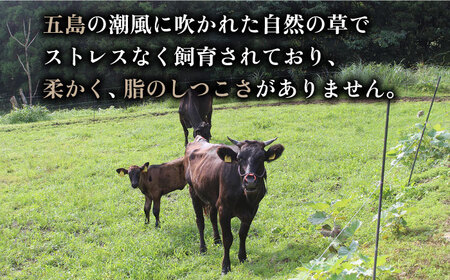五島牛グルメセット 牛肉 すき焼き しゃぶしゃぶ 切り落とし ステーキ[RBO015] 五島牛 牛肉 肉 五島牛 牛肉 肉 五島牛 牛肉 肉 五島牛 牛肉 肉九州 長崎