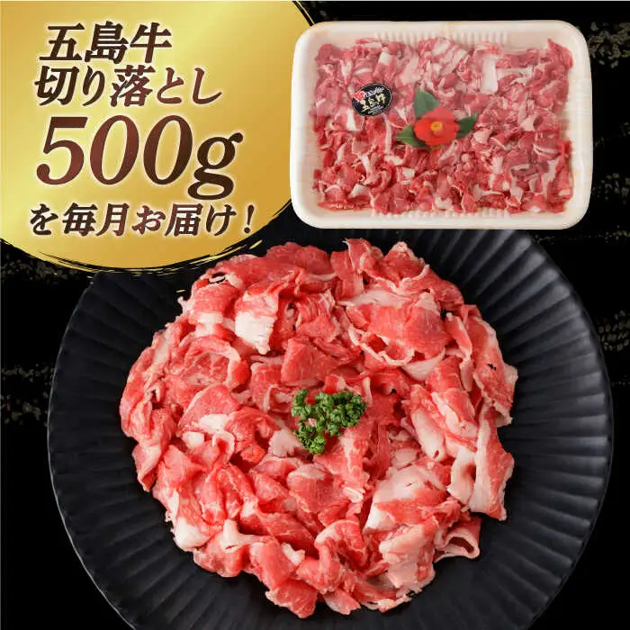 【全3回定期便】五島牛切り落とし約500g[RBP076] 五島牛 切り落とし 定期便 五島牛 切り落とし 定期便 五島牛 切り落とし 定期便 五島牛 切り落とし 定期便九州 長崎