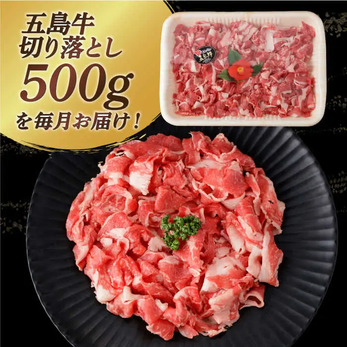 【全12回定期便】五島牛切り落とし約500g[RBP078] 五島牛 切り落とし 定期便 五島牛 切り落とし 定期便 五島牛 切り落とし 定期便 五島牛 切り落とし 定期便九州 長崎