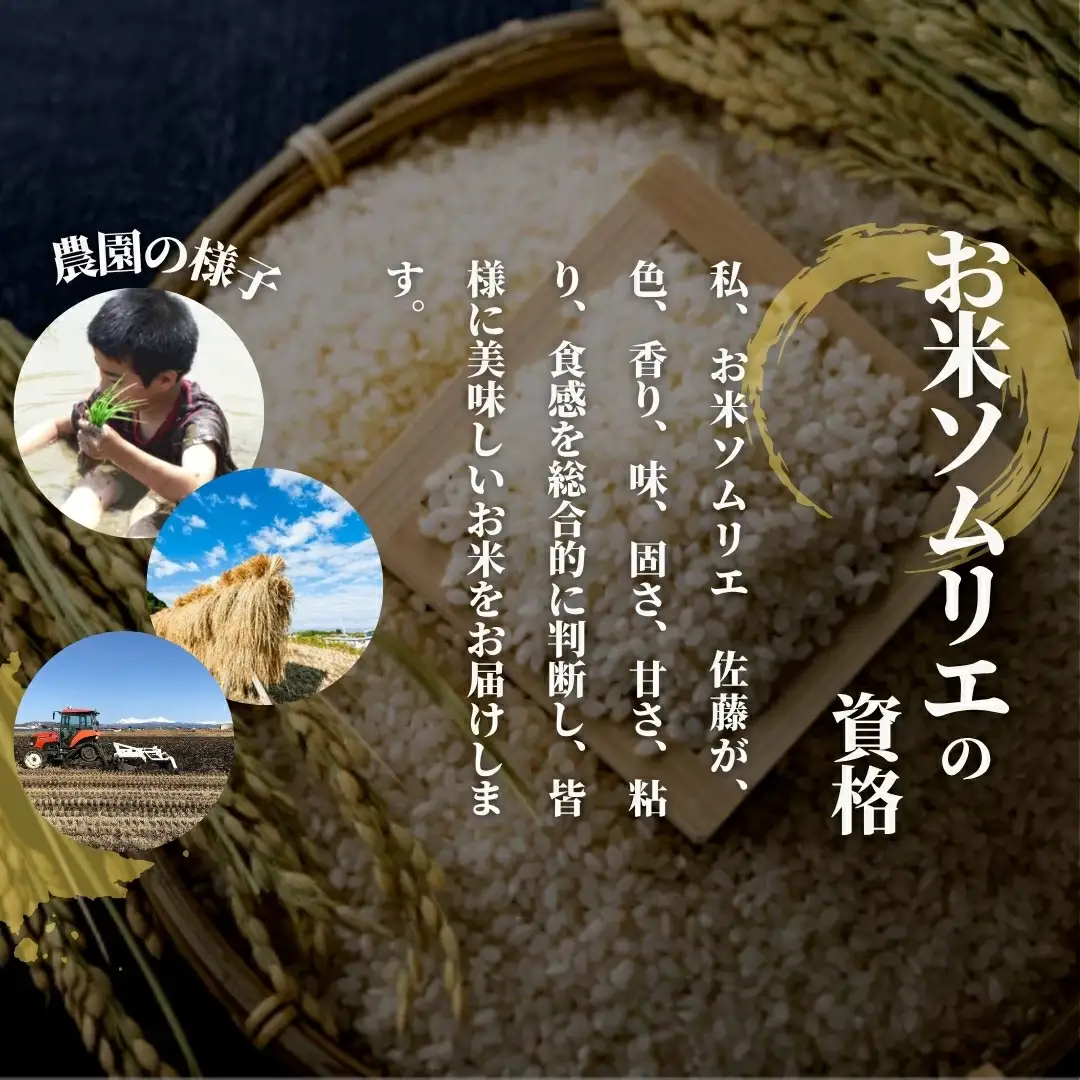 【先行予約】令和8年産 新米 新潟県産コシヒカリ 玄米 10kg(5kg×2袋) 特別栽培米【9月下旬発送開始】 | 米 玄米 五泉市