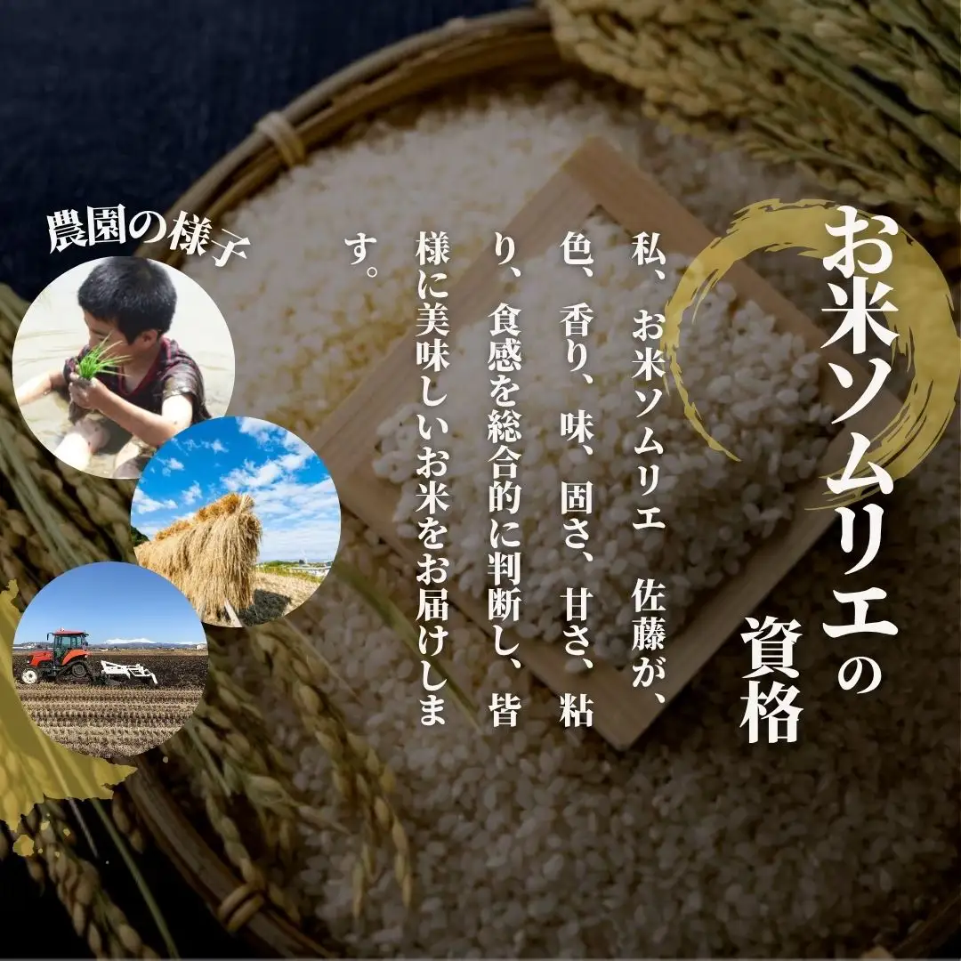 【先行予約】令和8年度産 新之助 玄米 5kg | 新潟県産 新之助 米