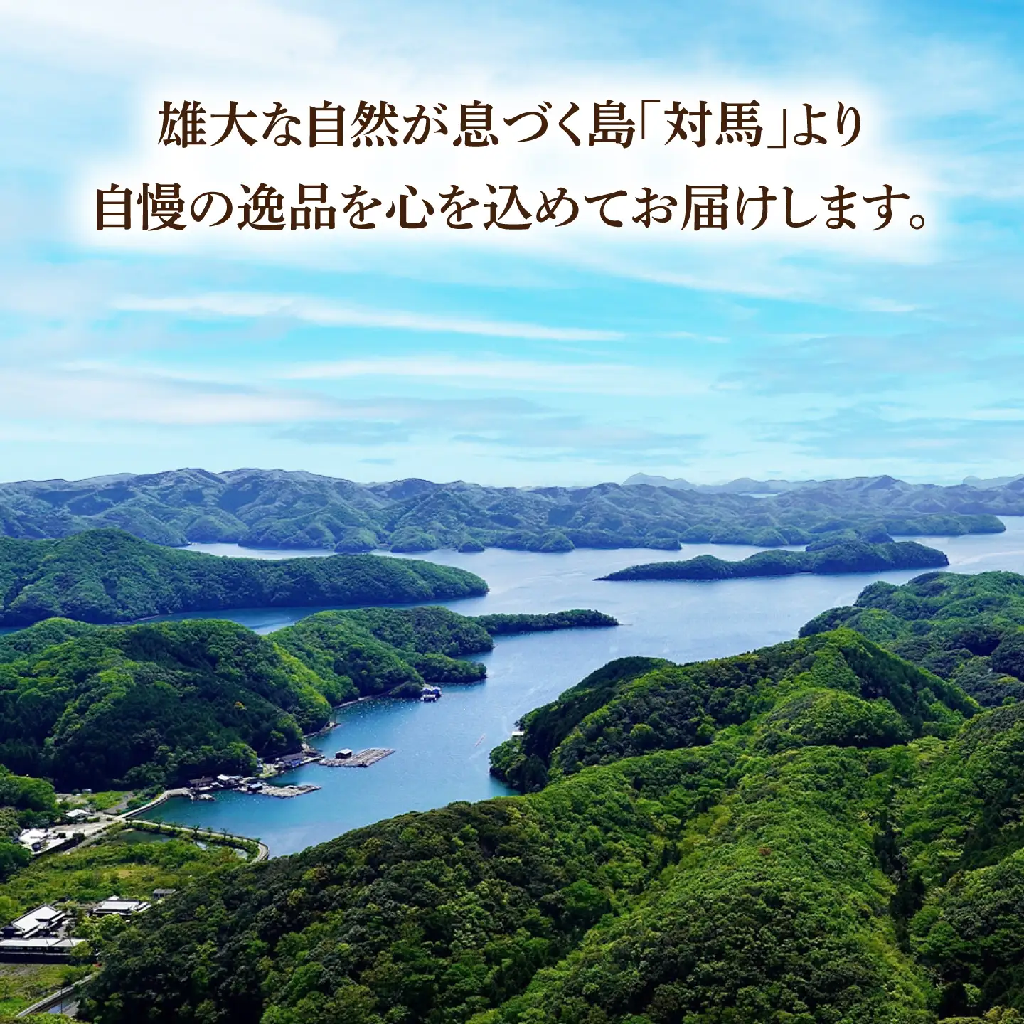 【全2回定期便】幻の魚 クエ 鍋 セット 400g [WAD049] ちり鍋 アラ くえ