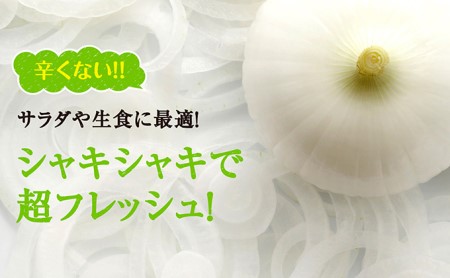 【テレビで紹介されました！】浜松篠原産 新白玉ねぎ プレミアムホワイト 10キロ【無選別品】 野菜 たまねぎ タマネギ 玉ねぎ 新玉ねぎ 10kg 