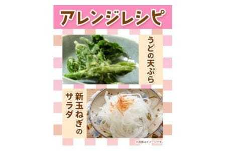 ＜先行予約＞旬の新鮮な 野菜便 4月春便 8～10品 野菜