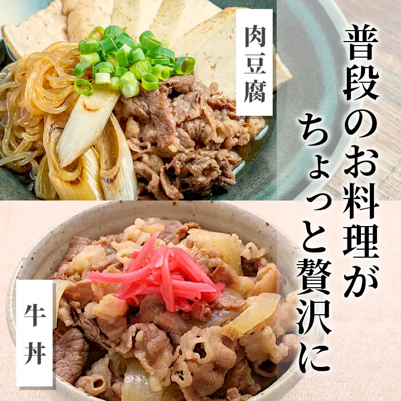 【最短発送】 飛騨牛 切り落とし 700g 牛肉 切り落し 切落し こま切れ 肉 牛 肉じゃが すき焼き しゃぶしゃぶ 養老ミート 10000円 一万円