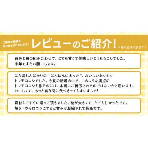 【 7月中旬発送開始 】 嬬恋産 とうもろこし ドルチェドリーム 約5kg（9～11本） [AT002tu]