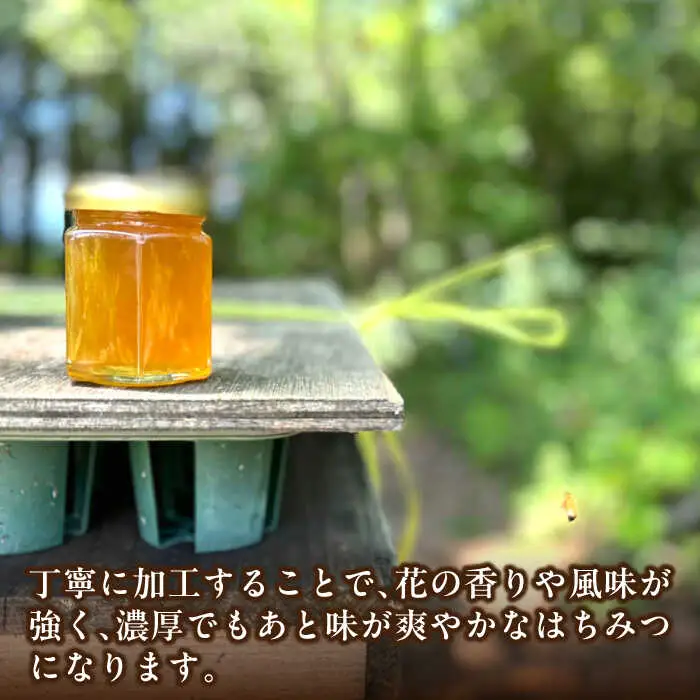 恵那蜂蜜 24本セット (蓮華蜂蜜300g×8本、百花蜂蜜300g×8本、栗蜂蜜300g×8本) / 恵那市 / はち工房こうけつ [AUDF046]