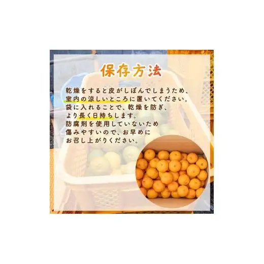 【先行予約】 【早期受付】 訳あり 有機栽培 ぽんかん 10kg 2027年2月より 順次発送 高知県 須崎市