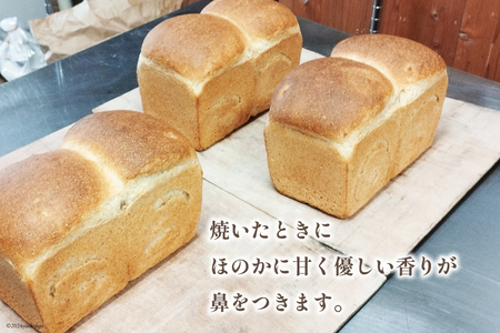 【パリもち！】窯焼き 石臼挽き 全粒粉食パン 1本 8枚切