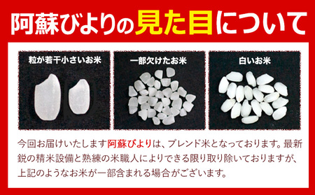 白米 精米 阿蘇びより 20kg (5kg×4袋)