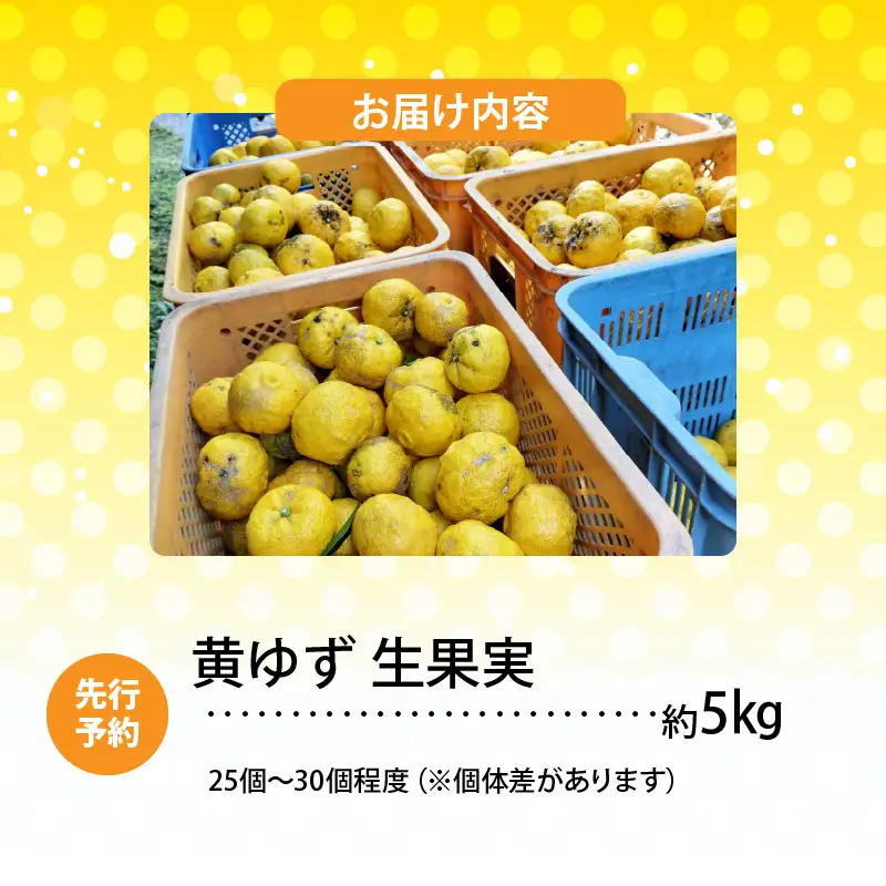 訳あり 黄ゆず 生果実 約5kg_MM0106