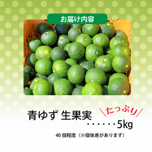 訳あり 青ゆず 生果実 たっぷり5㎏ 5kg 40個程度 特産品 ゆず 果汁 さわやか 風味 小ぶり 皮 柚子ごしょう 加工品づくり 青ゆずスカッシュ 輪切り 風味付け 柑橘 果実 フルーツ 豊か 自然 恵み 澄んだ空気 おいしい水 お取り寄せ 福岡県 上毛町 送料無料 _MM0206