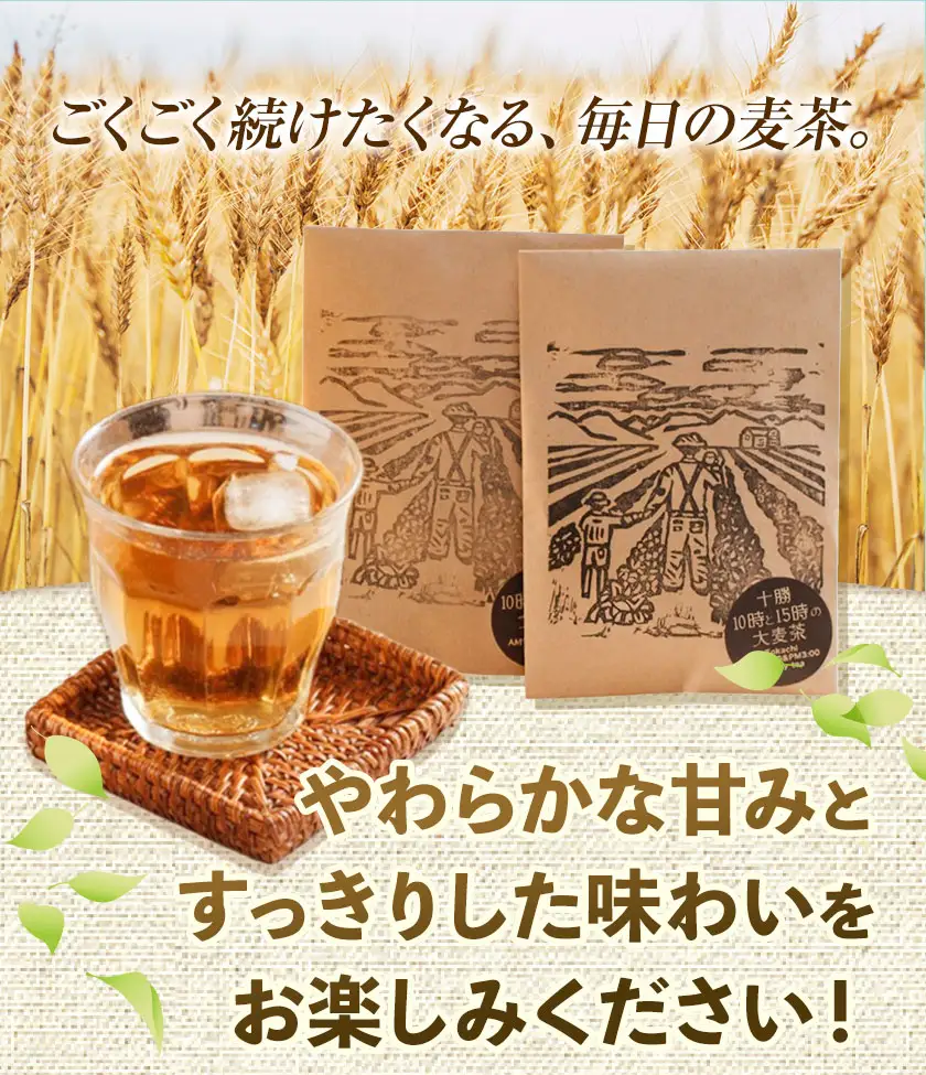 二条大麦100％「十勝10時と15時の大麦茶」7包×7袋 北海道 茶