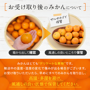 訳あり みかん 約10kg ｜iFARM岩城農園