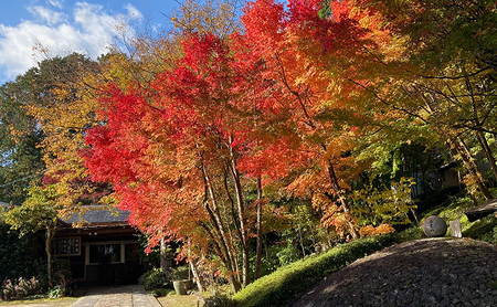 体験チケット 森の小さな「禅」体験坐禅 お茶席 写経 鍼灸 安禅寺 体験チケット