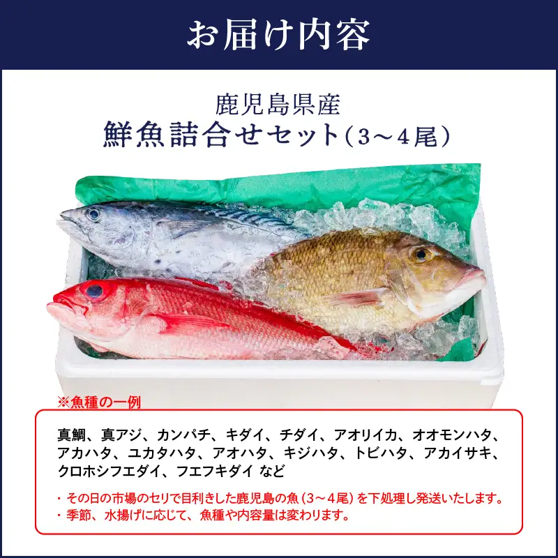 2530 鹿児島県産 鮮魚 詰合せ セット （ 3～4 尾 ） KN025-004-01 魚