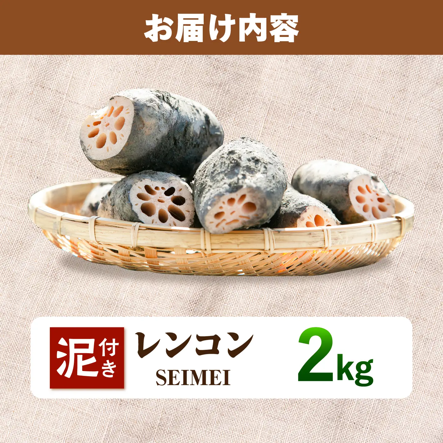 【8月中旬より順次発送】れんこん 2kg 「SEIMEI」 手掘り 蓮根 レンコン / 水谷グルッポ[AEBX001]