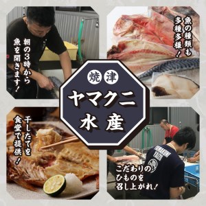 【チルドでお届け】朝干しひものセット6種以上！ (a15-383)