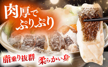 【全2回定期便】対馬 産 クエ 鍋 セット 600g (2ー3人前) 海鮮 [WAC056]