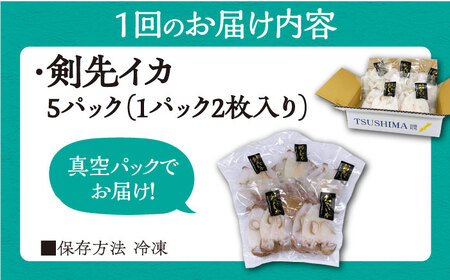 【全2回定期便】対馬産 剣先いか 生 干し [WAC059] 剣先イカ いか 一夜干し