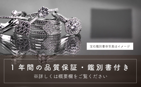 pt900 ダイヤモンド リング 0.32ct & ネックレス 0.21ct  豪華2点セット （set677-971） 鑑別書 保証書 ケース 付 ／ ジュエリー アクセサリー 宝石 プラチナ ギフト プレゼント 贈り物 記念日 お祝い 誕生日 人気 高級 山梨県 西桂町【n0540_liz_C】