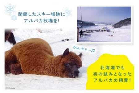 アルパカのエサ