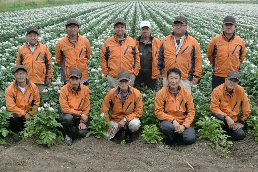 野菜 けんぶち産農産物セット 3種 計10kg