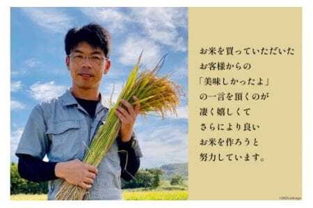 【北海道で一番食べられているお米】 令和6年 米 ななつぼし 5合(750g)【郵便受けにお届け】