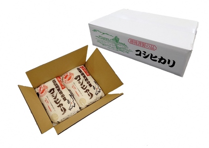 新潟産コシヒカリ 10kg | コシヒカリ 令和7年産