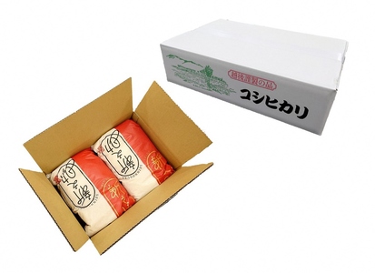 新之助 精米 お米 10kg | 新之助 令和7年産