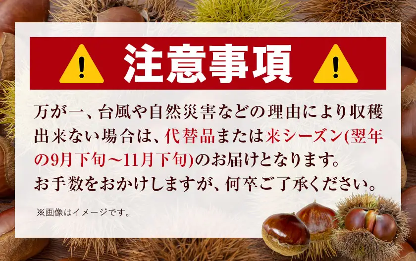 GI認証登録 山江村の やまえ栗 生栗 3kg 品種指定なし 筑波 美玖里 など旬の品種 やまえ栗ブランド部会 有限会社やまえ堂《9月上旬-10月下旬頃出荷》熊本県 球磨郡 山江村 栗 くり フルーツ 熊本県産 果物 早期 予約