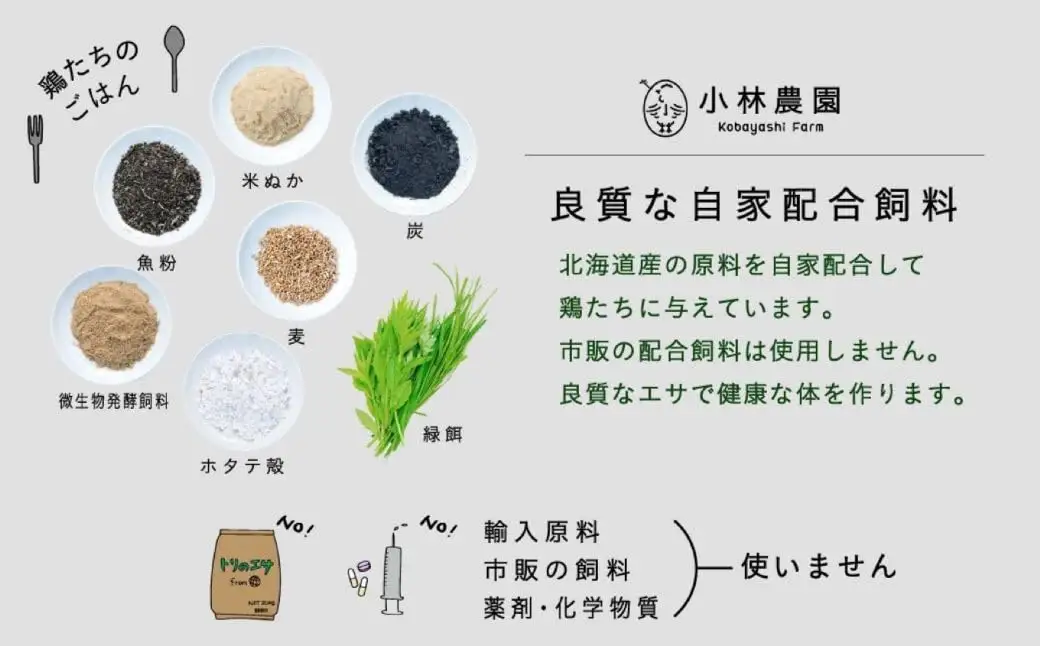 親鶏のスパイスカレー 5個セット（辛口）【テンアール株式会社】 カレー スパイスカレー 辛口 鶏 鶏肉 平飼い 冷凍配送 北海道 [AXAN009]