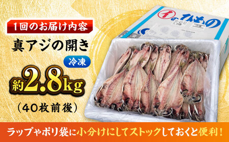 【全3回定期便】【訳あり】漁師町佐島 真アジの開き 約2.8kg（40枚前後）セット 干物 横須賀 ひもの 干物 鯵干物 アジ干物 ひもの あじ ひもの【石川水産】 [AKCX006]
