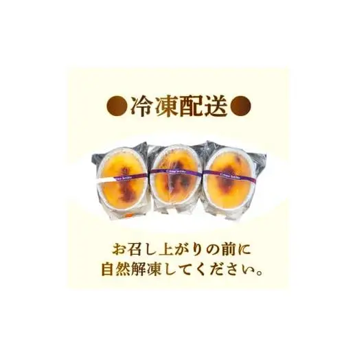 クレームブリュレ9個_スイーツ デザート ブリュレ 高知県 須崎 人気 美味しい セット ギフト プレゼント_【LF020】
