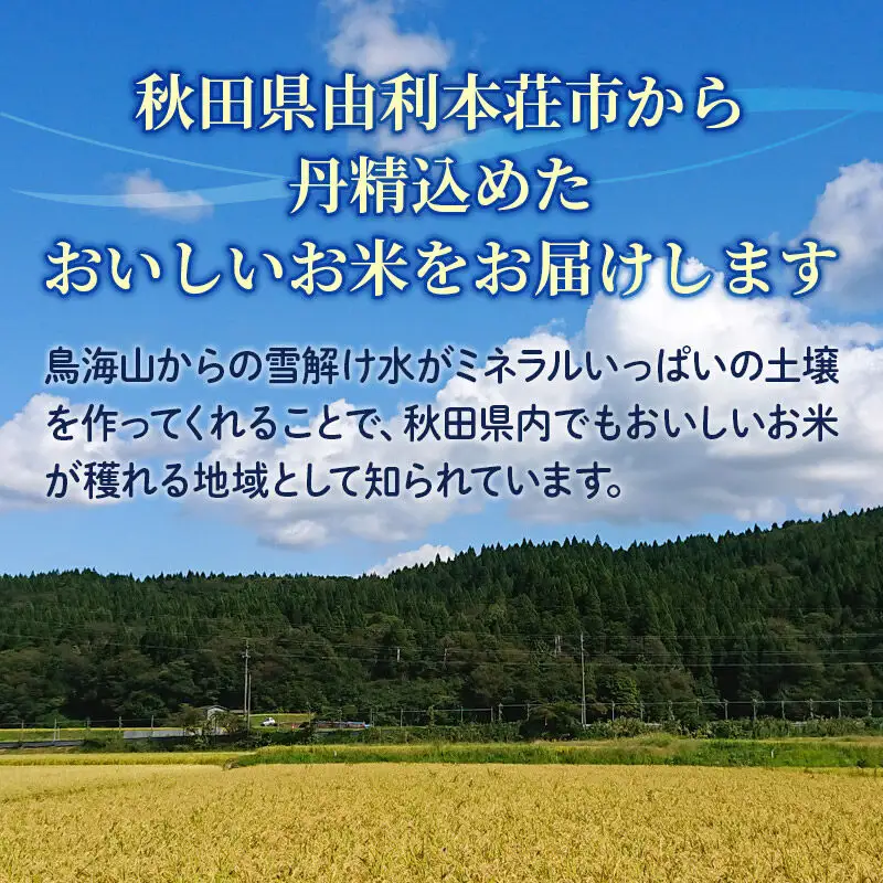 《令和8年産 新米》【玄米】 ＜通算5回 特A＞ ひとめぼれ 5kg 農家直送 渡部さんのひとめぼれ