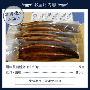 鰻の長蒲焼き5尾詰合せ (a50-085)