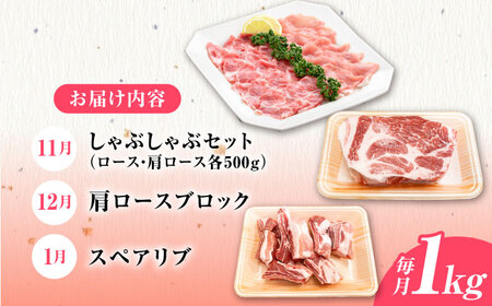 【全3回定期便】肥前さくらポーク 季節の定期便＜冬＞ [HAM082] 豚肉 肉 ぶた肉 ブタ肉 定期 定期便